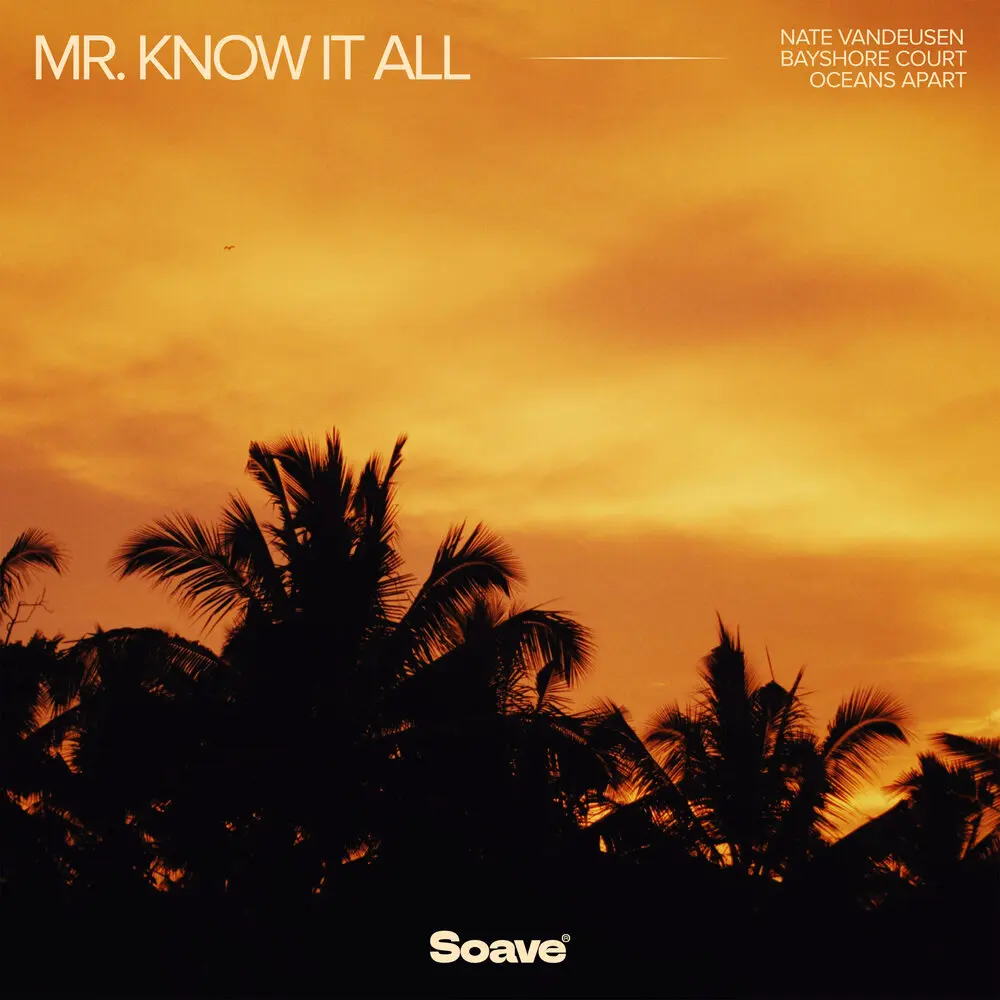 Mr. Know It All - Nate VanDeusen, Bayshore Court, Oceans Apart