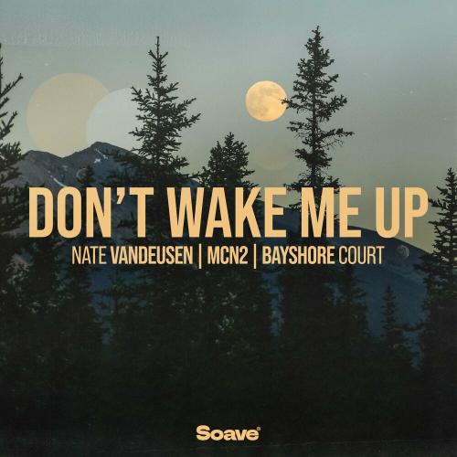 Nate VanDeusen feat. MCN2 x Bayshore Court - Dont Wake Me Up