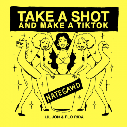 Nategawd & Flo Rida & Lil Jon - Take a Shot and Make a TikTok