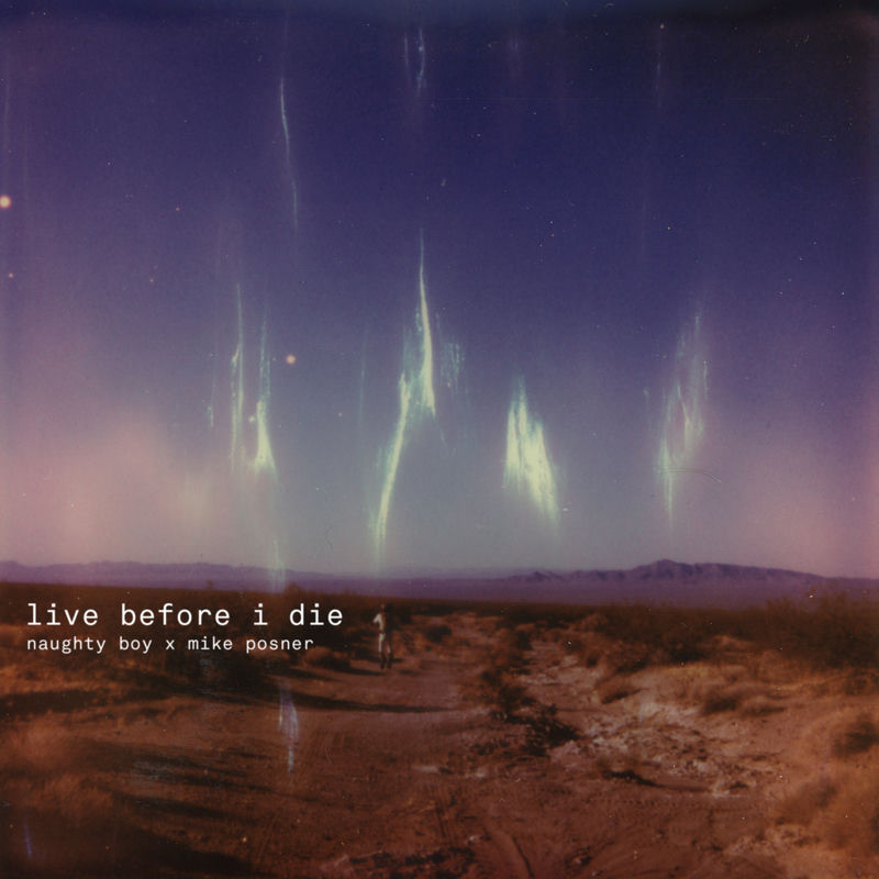 Live Before I Die (Naughty Boy X Mike Posner) - Naughty Boy & Mike Posner
