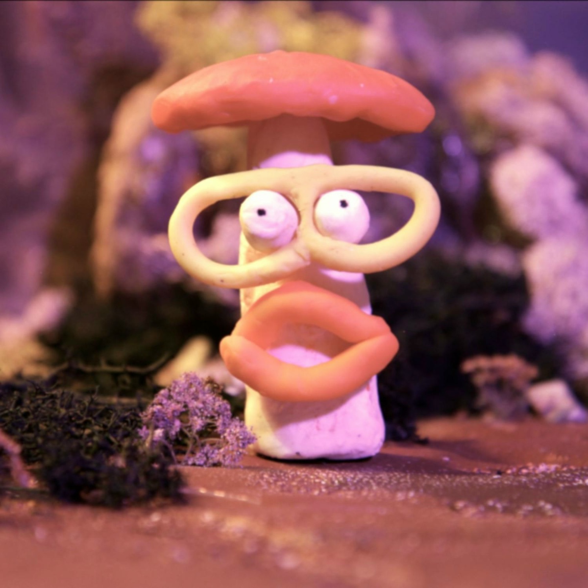 Magic Mushroom - NCY Milky Band