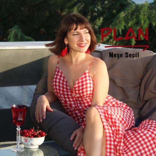 Neşe Seçil - Plan