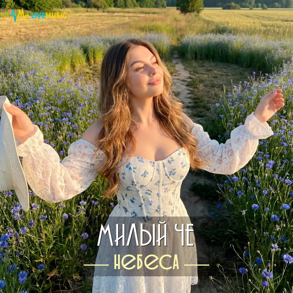 Милый че - НЕБЕСА