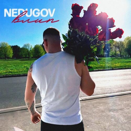 NEDUGOV - Влип