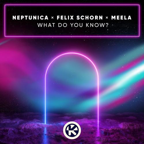 Neptunica feat. Felix Schorn x MEELA - What Do You Know