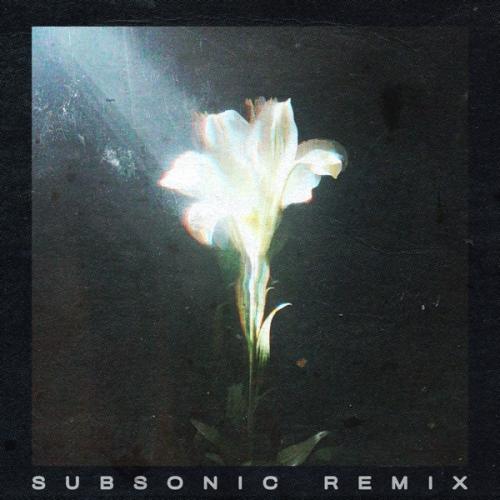 Netsky & Bebe Rexha - Light That Leads Me (Subsonic Remix)