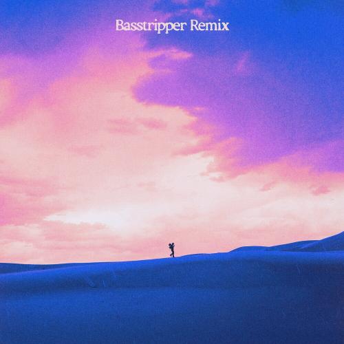 Netsky feat. Jazmine Johnson - Hell In High Heels (Basstripper Remix)