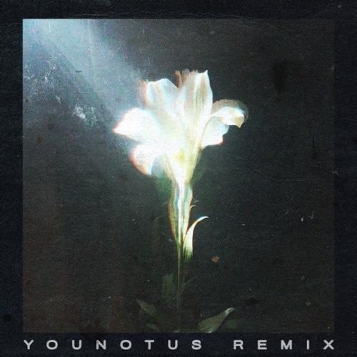 Netsky - Light That Leads Me (feat. Bebe Rexha) [Younotus Remix]