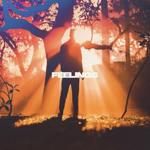 Feelings - Nettson & Covira