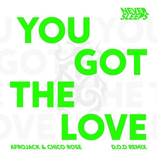 Never Sleeps feat. Afrojack & Chico Rose - You Got The Love (D.O.D Remix)