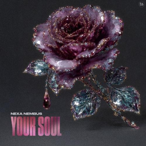 Nexa Nembus - Your Soul