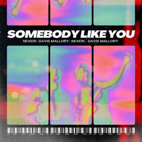 Somebody Like You - Nexeri feat. Davis Mallory