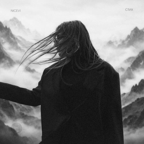 NiceVi - Стих