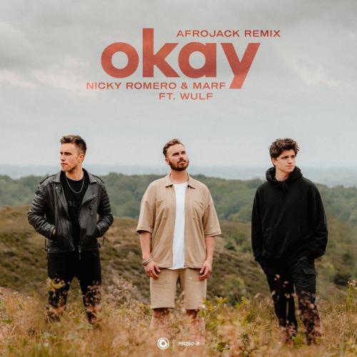 Nicky Romero & Marf feat. Wulf - Okay (Afrojack Remix)