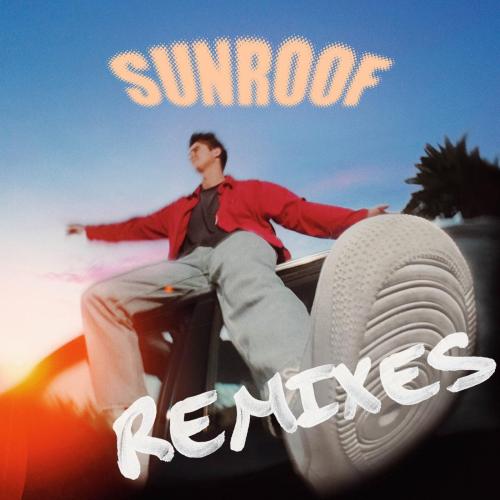 Nicky Youre & hey daisy - Sunroof