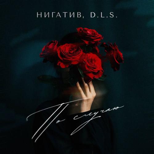Нигатив, D.L.S․ - По случаю