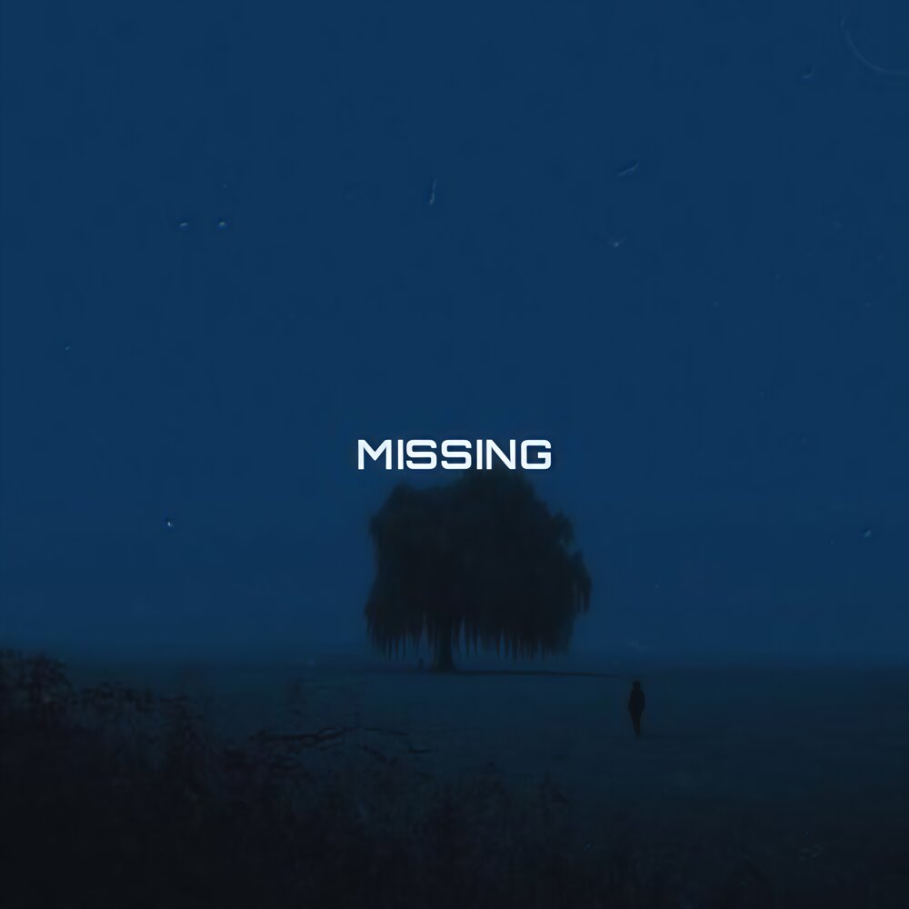 MISSING - Night Flicker, Baker Ya Maker, GR3GG3R