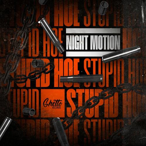 Stupid Hoe - Night Motion