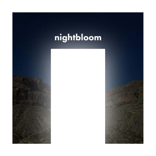 nightbloom - chara rising (alpha 10Hz)