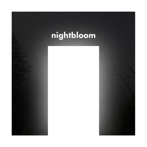 nightbloom - solarsonic (alpha 13Hz)