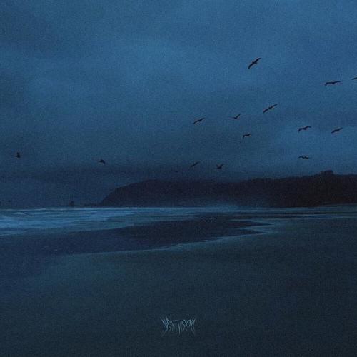 NIGHTVI$ION - Birds
