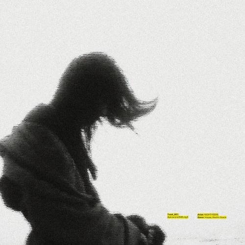 NIGHTVI$ION - dancecore2008.mp3