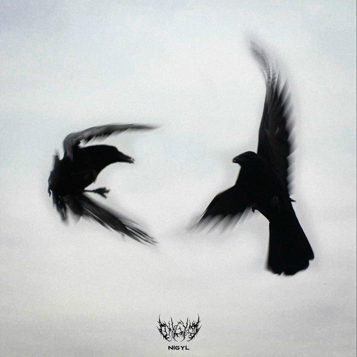 RAVEN CLAW - NIGYL