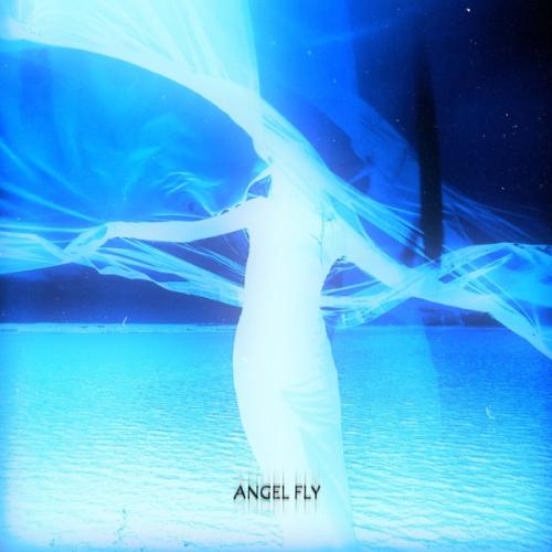 NikiNovok & STVRLXGHT - Angel Fly