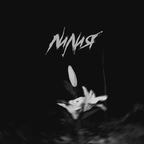 NIkklo,Aliso - Лилия