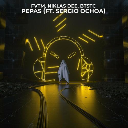 Niklas Dee, FVTM & BTSTC feat. Sergio Ochoa - Pepas