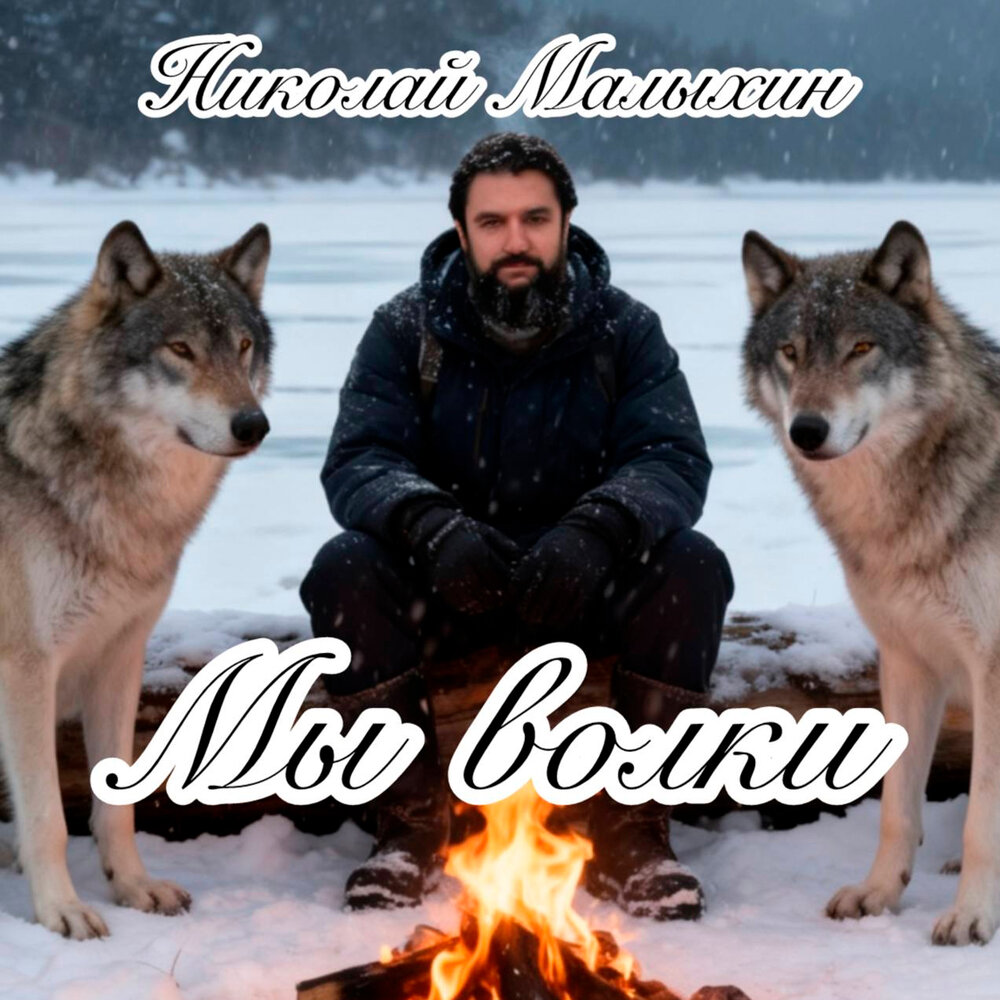 Мы волки - Николай Малыхин