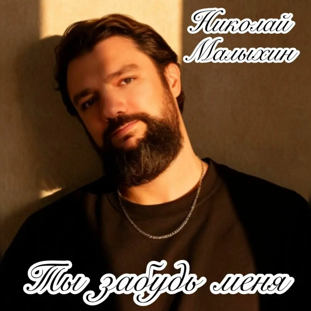 Ты забудь меня - Николай Малыхин