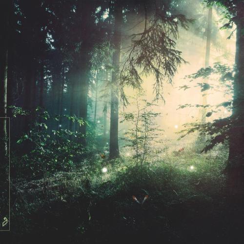 Nils Hoffmann - Far Behind (feat. Panama)