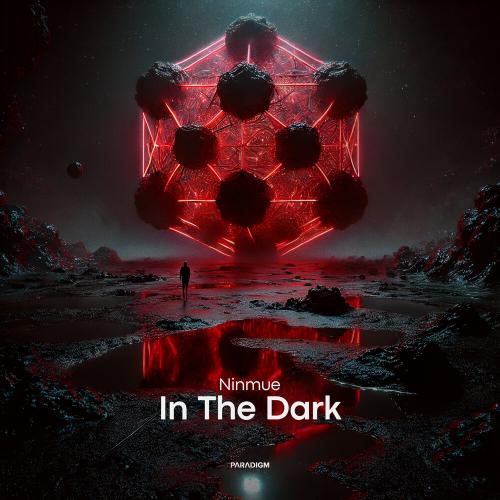Ninmue - In The Dark