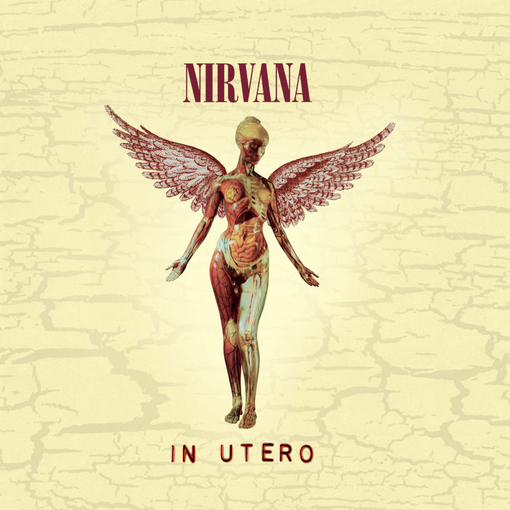 Nirvana - Serve The Servants