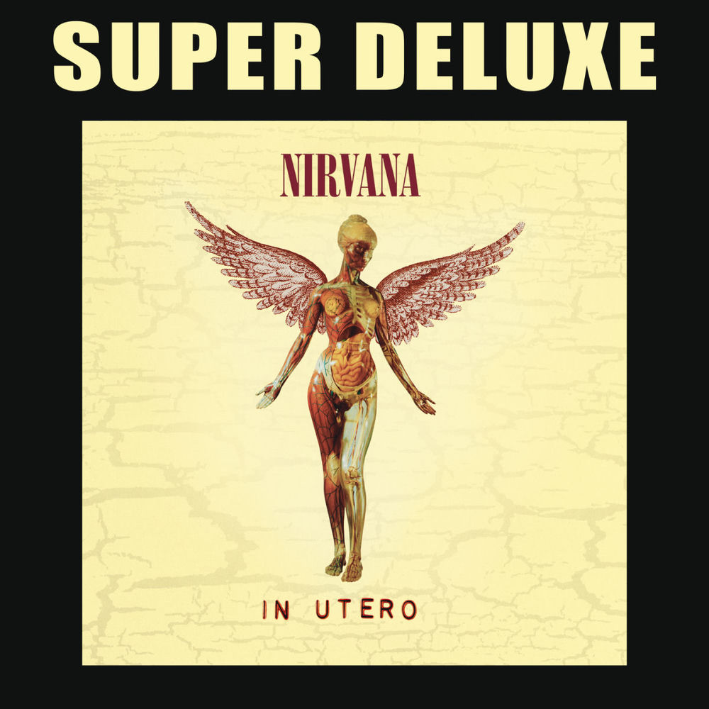 Nirvana - Very Ape (Demo _ Instrumental)