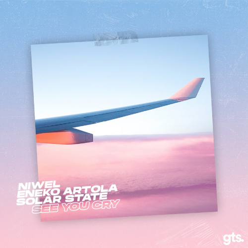 Niwel & Eneko Artola & Solar State - See You Cry