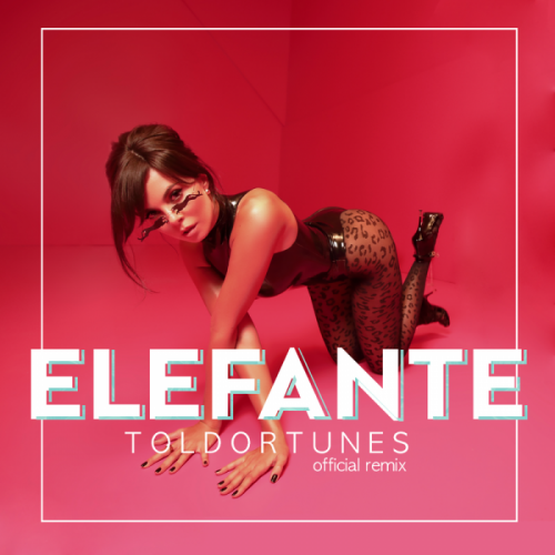 Elefante (ToldorTunes Remix) - NK