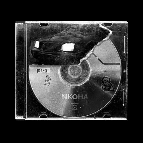 NKOHA - Cold Lights