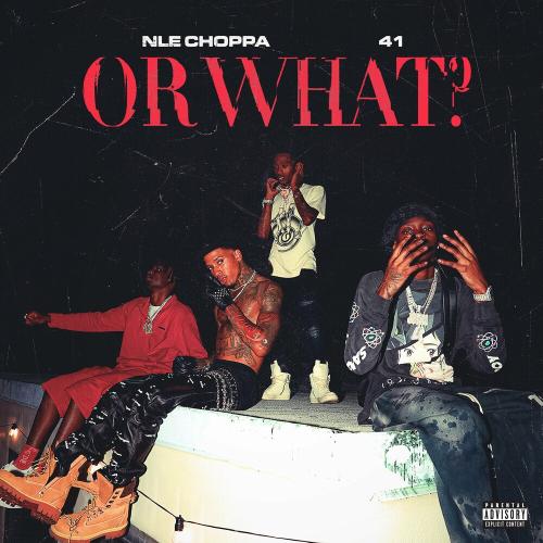 Or What - NLE Choppa feat. 41