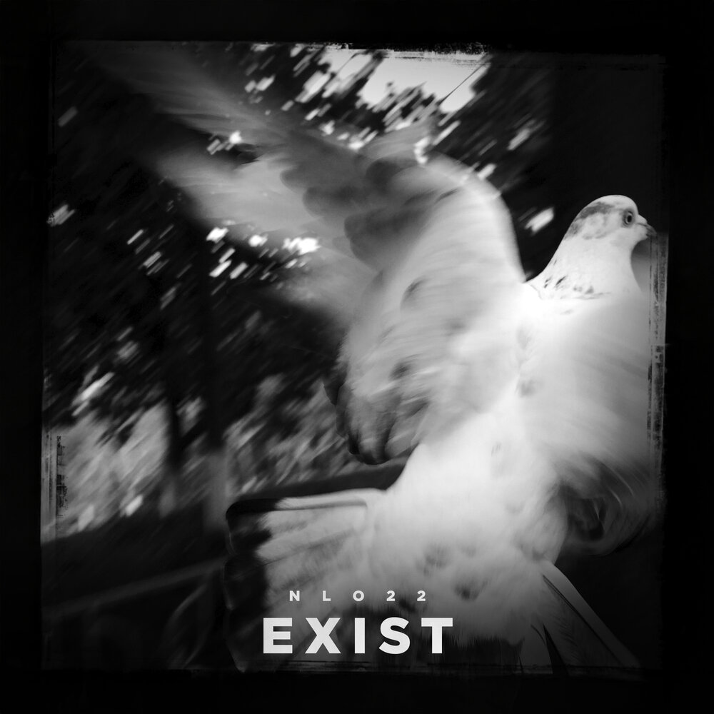 Exist - NLO22