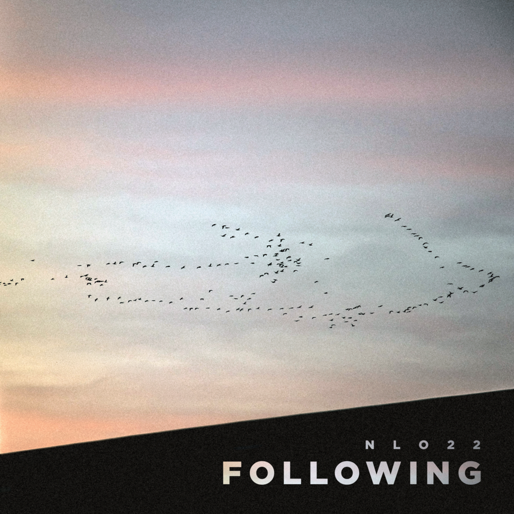 Following - NLO22