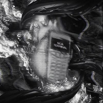 NOA - TERMINAL