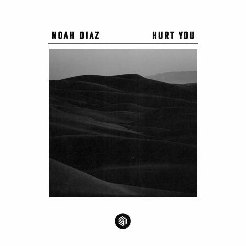 Hurt You - Noah Diaz