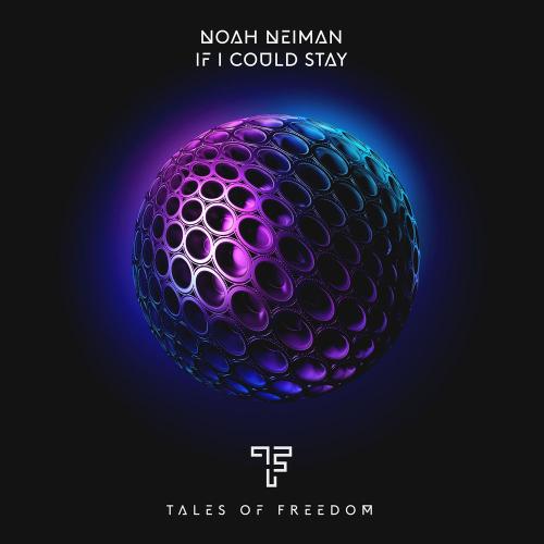If I Could Stay - Noah Neiman