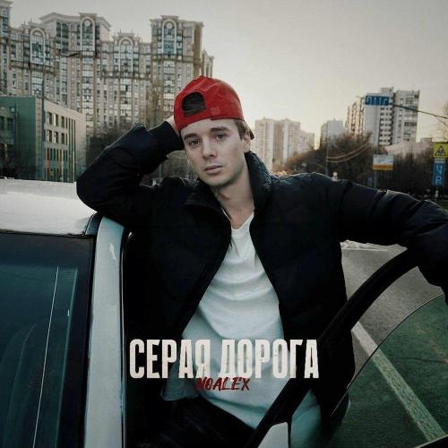 Серая дорога - NOALEX