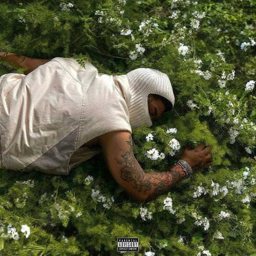 NoCap - Maliboo