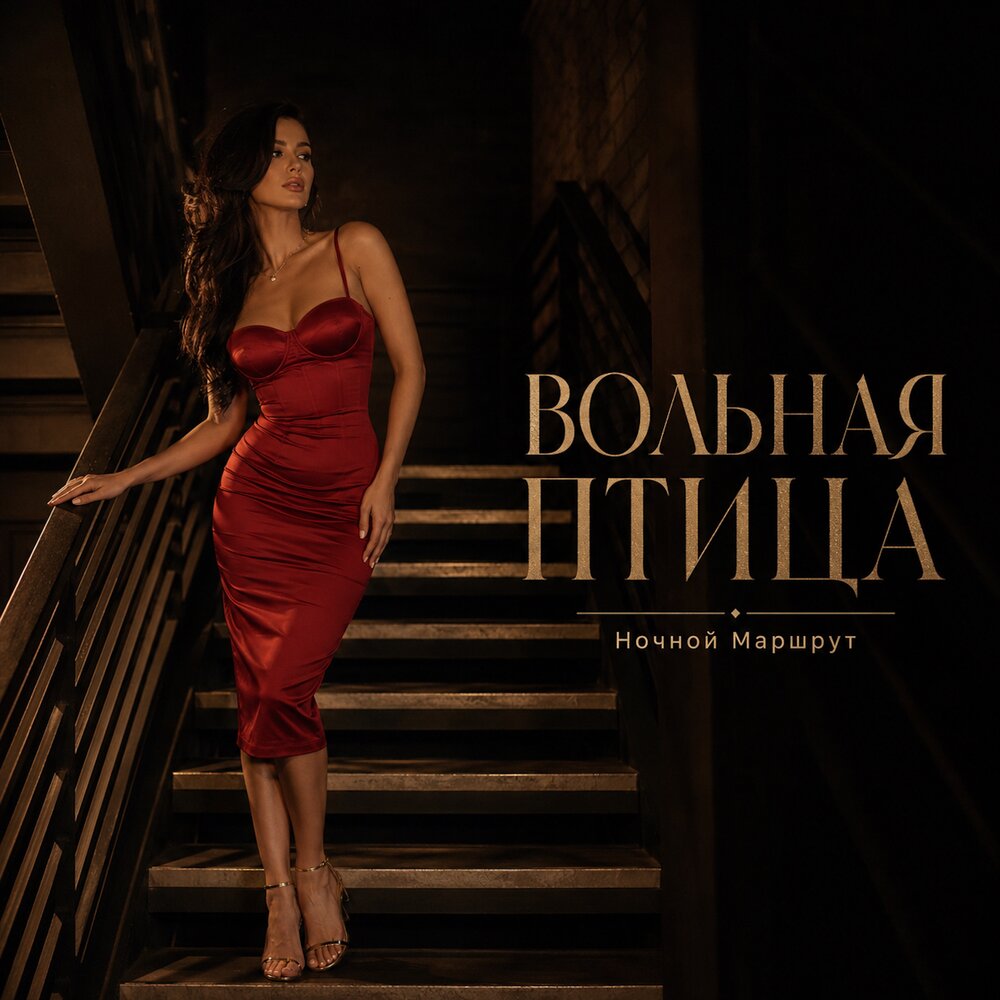 ВОЛЬНАЯ ПТИЦА - Ночной Маршрут