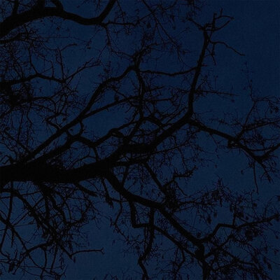 noescape - echoes of soft rain
