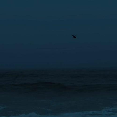 noescape - fading aurora